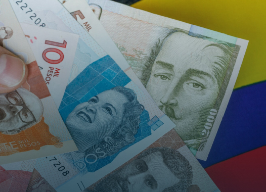 Grupo Confía - Comportamiento financiero